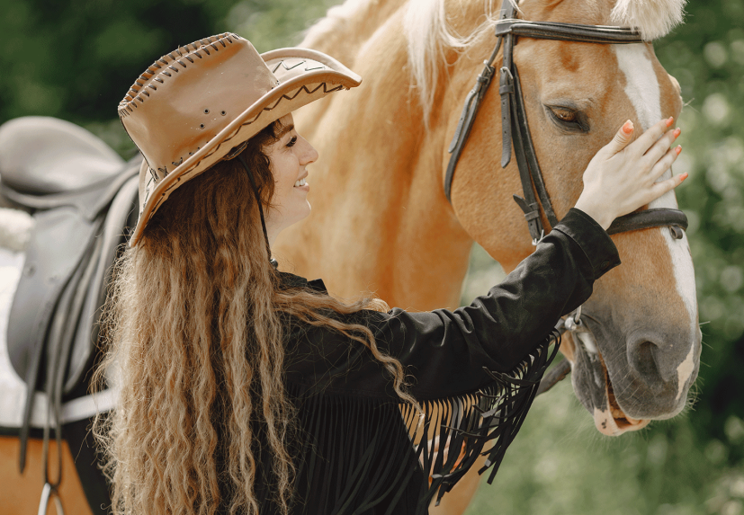 Équitation 